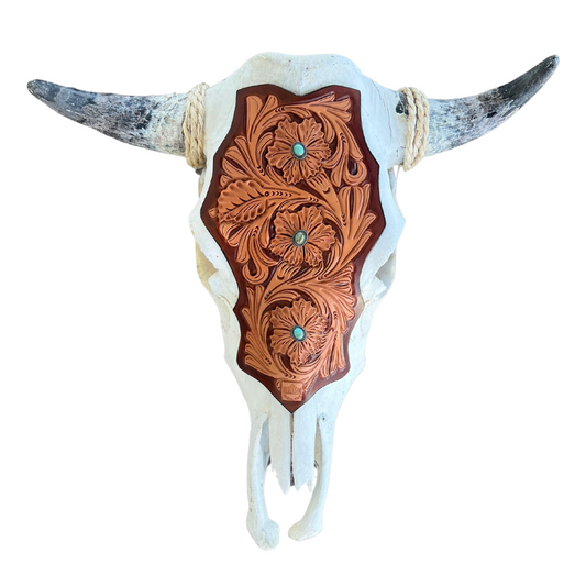 Cow Skull #8